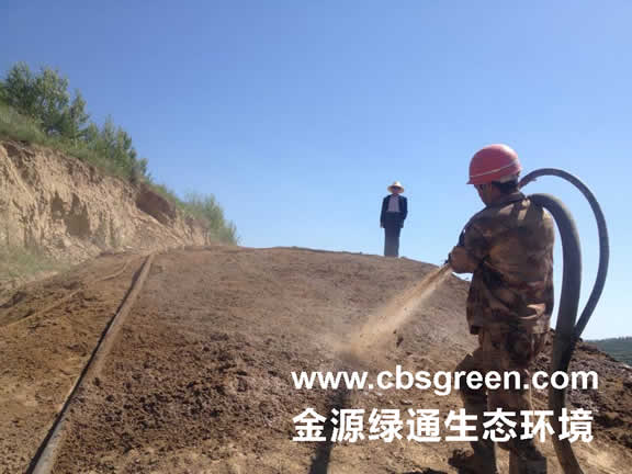 1602230333187691.jpg 3.jpg