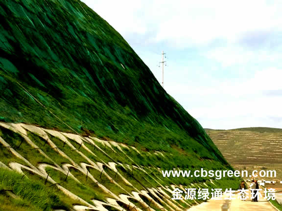 1602230360961096.jpg 5.jpg