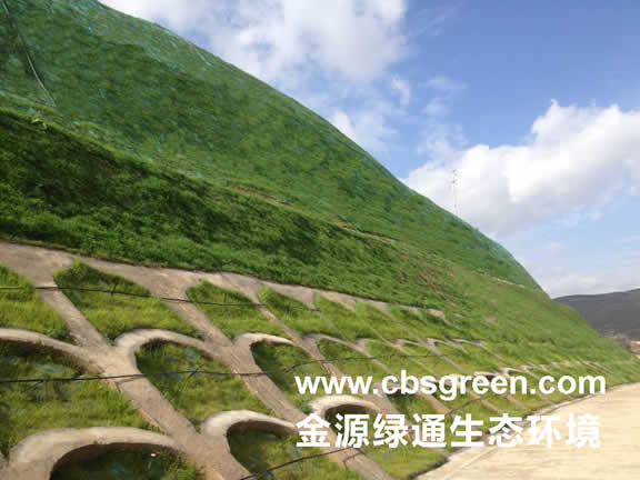 1602230370169329.jpg 6.jpg