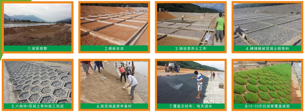 1668957638966751.jpg hedao.jpg